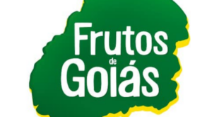 Frutos de Goiás abriu vaga para Atendente